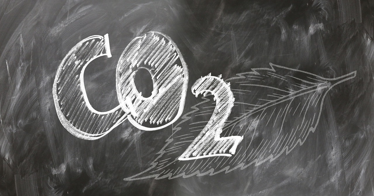 Verband DSLV: “Richtige Eckpunkte für das Klimaschutzprogramm 2030”